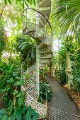 Das Gewächshaus im Botanischen Garten von Kopenhagen (Botanisk Have - Palmehuset), Kopenhagen, Dänemark