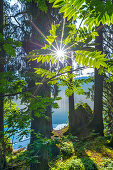 Der Karersee, Naturdenkmal unterm Rosengarten, in den Südtiroler Dolomiten, UNESCO Weltnaturerbe, im Eggental, Italien