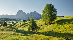 Sassolungo, Alpe di Siusi, South Tyrol, Italy