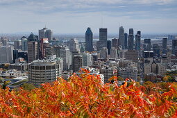 View of Montreal from Mont Royal, Quebec, Canada