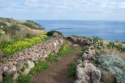 Sentiero di Mezzogiorno, hiking trail on Ustica Island, Sicily, Italy