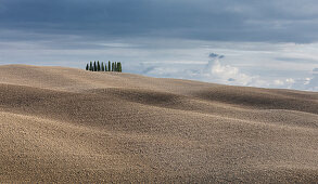 Zypressenwald mit hügeligem Acker in San Quirico d'Orcia, Toskana Italien