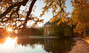 Apollo temple with tree in the Nymphenburg palace park in autumn at sunset, on the waterfront, Munich