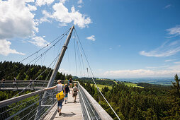 Tree top path, Allgäu Skywalk, Scheidegg, Allgäu, Swabia, Bavaria, Germany