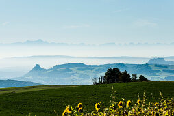 Panorama mit Hegauvulkanen und Alpen, bei Engen, Hegau, Bodensee, Baden-Württemberg, Deutschland