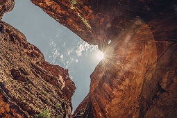 Cahtedrale Gorge in Purnululu National Park, Bungle Bungle, Kimberley Region, Western Australia, Oceania,