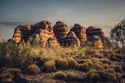 Evening mood in Purnululu National Park, Bungle Bungle, Kimberley Region, Western Australia, Oceania,