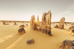 Sonnenaufgang bei den Pinnacles im Nambung Nationalpark in Westaustralien Australien, Ozeanien