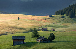 Huts at the Alpe di Siusi in the Dolomites in autumn, South Tyrol
