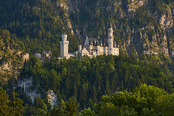 View of Neuschwanstein Castle, Schwangau municipality, Ammer Mountains, Ostallg? U, Bavaria, Germany, Europe