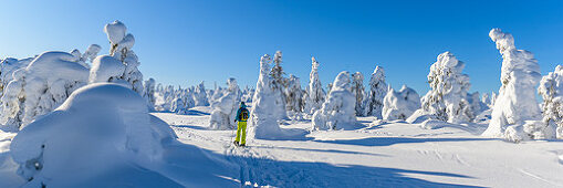 Snowshoeing in Pyhä-Luosto National Park, Finland