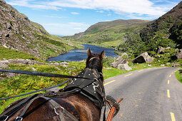 Carriage ride on Gap of Dunloe Road, Augher Lake, County Kerry, Ireland, Europe
