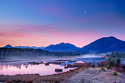 Morning mood on water surface in the renatured raised bog, Nicklheimer Filz, Bavarian Alps, Upper Bavaria, Bavaria, Germany