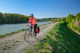 Frau fährt mit Rad am Inn entlang, Marktl, Benediktradweg, Oberbayern, Bayern, Deutschland