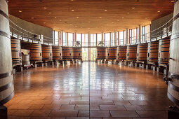 Wine barrels at Lapostolle Winery, Santa Cruz, Colchagua Valley (wine growing area), Chile, South America