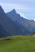 Unicorn and Splügen, Via Spluga, Graubünden