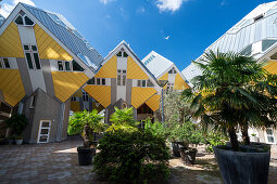 Kubushäuser vom Architekten Piet Blom bei Sonnenschein und blauem Himmel, Overblaak 70, Rotterdam, Niederlande
