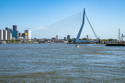 Blick über die Neue Maas auf die Erasmusbrücke, Rotterdam, Niederlande