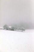 Barn in the Lärchenwald landscape conservation area, Arzkasten, Mieminger Kette, Tyrol