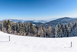Verschneite Winterlandschaft mit Nadelwald, Himmelberg, Kärnten, Österreich