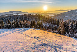 Snowy winter landscape with coniferous forest at sunrise, Himmelberg, Carinthia, Austria