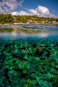 Unter Wasser vor Tanna, Vanuatu, Südsee, Ozeanien