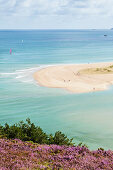 View of the Sable d Or Bay at Erquy during the heather blooming and high tide. Located between Cap Frehel and Cap Erquy. Brittany, France.