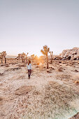 Frau läuft durch Joshua Tree National Park, Joshua Tree, Los Angeles, Kalifornien, USA, Nordamerika