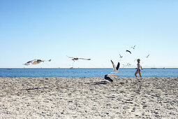 Seagulls and woman on Santa Barbara Beach, California, USA.