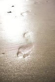 Footprints in the evening light on Big Sur Beach, California, USA.