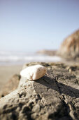 Weisser Stein auf einem Felsen am Strand von Big Sur, Kalifornien, USA.