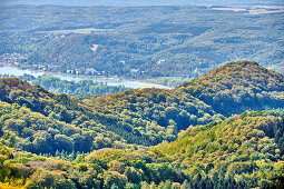 Blick vom Ölberg über den Rhein auf Rolandseck, Siebengebirge, Nordrhein-Westfalen, Deutschland