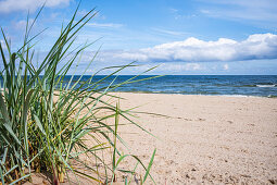 Baltic Sea beach in Bansin Dune grass in the foreground. Summer sky with light cloud cover, Usedom, Mecklenburg-Western Pomerania, Germany
