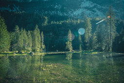 Atmospheric mountain lake (Gosaulacke) with conifers on the shore.