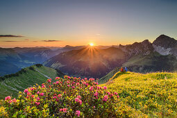 Man and woman while hiking sit on meadow ledge and enjoy sunrise over Allgäu Alps and Lechquellen Mountains, with alpine roses in the foreground, from Zafernhorn, Großes Walsertal Biosphere Reserve, Bregenz Forest Mountains, Bregenzerwald, Vorarlberg, Austria