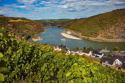 The Rhine overlooking Oberwesel, Rhineland-Palatinate, Germany