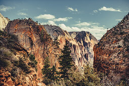 Zion Canyon seen from Angels Landing, Utah, USA, North America, America
