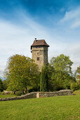 Burg Sponeck, Jechtingen, Sasbach, Kaiserstuhl, Baden-Württemberg, Deutschland