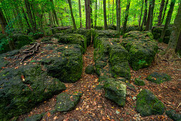 Boulders in the druid's grove, forest in the franconian Switzerland, Bavaria, Germany, Europe