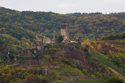 Burg Metternich in Beilstein an der Mosel, Rheinland-Pfalz, Deutschland, Europa