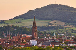 View from Sonnhalde to Freiburg with Freiburg Minster, evening, Freiburg, Breisgau, Southern Black Forest, Baden-Wuerttemberg, Germany, Europe