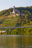 Burg Hornberg in Steinbach-Neckarzimmern, Neckar, Kraichgau, Baden-Württemberg, Deutschland, Europa 