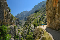 Woman hiking through the Ruta del Cares gorge, Cares Gorge, Picos de Europa, Picos de Europa National Park, Cantabrian Mountains, Asturias, Spain