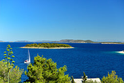 Ein Segelboot im blauen Wasser zwischen den Inseln der Adria, Primosten, Dalmatien, Kroatien