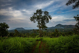 Landschaft im Bolaven Plateau nahe Kaffeeplantage Mystik Mountain Coffee, Champasak, Laos, Asien