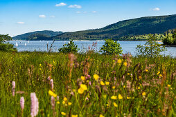 Schluchsee, Southern Black Forest, Black Forest, Baden-Württemberg, Germany