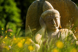 Buddha statue in flower meadow, Black Forest, Baden-Württemberg, Germany