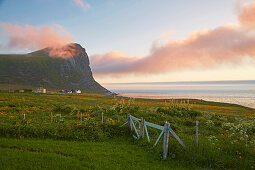 Blumenwiese mit Holzhaus in Myrland, Sonnenuntergang, Flakstadoeya, Lofoten, Nordland, Norwegen, Europa