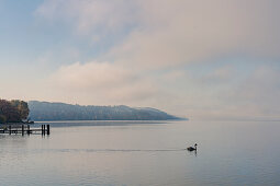 View from the bathing jetty in Percha on Lake Starnberg to the south towards the mountain, Starnberg, Bavaria, Germany.