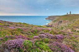 Blühende Heidelandschaft mit Meerblick und Leuchtturm am Cap Frehel, Bretagne, Frankreich